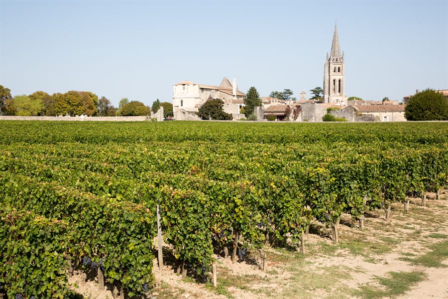 Vineyards at Saint-Émilion